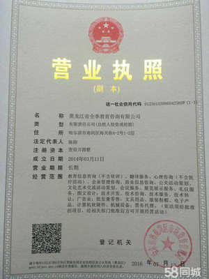 深耕黑土地，服務轉型路——教育咨詢服務助力發展全解析
